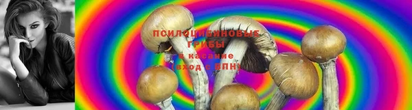 спайс Алзамай