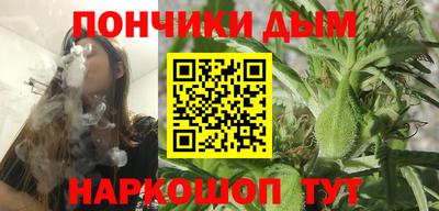 мдпв Боровичи