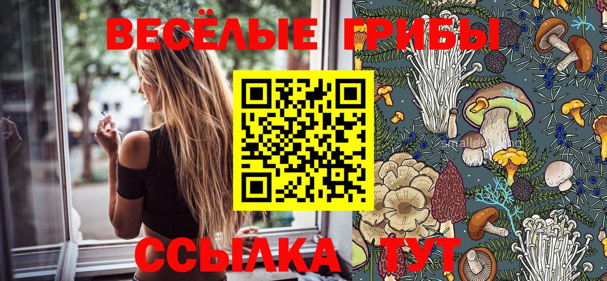 Галлюциногенные грибы MAGIC MUSHROOMS Мегион