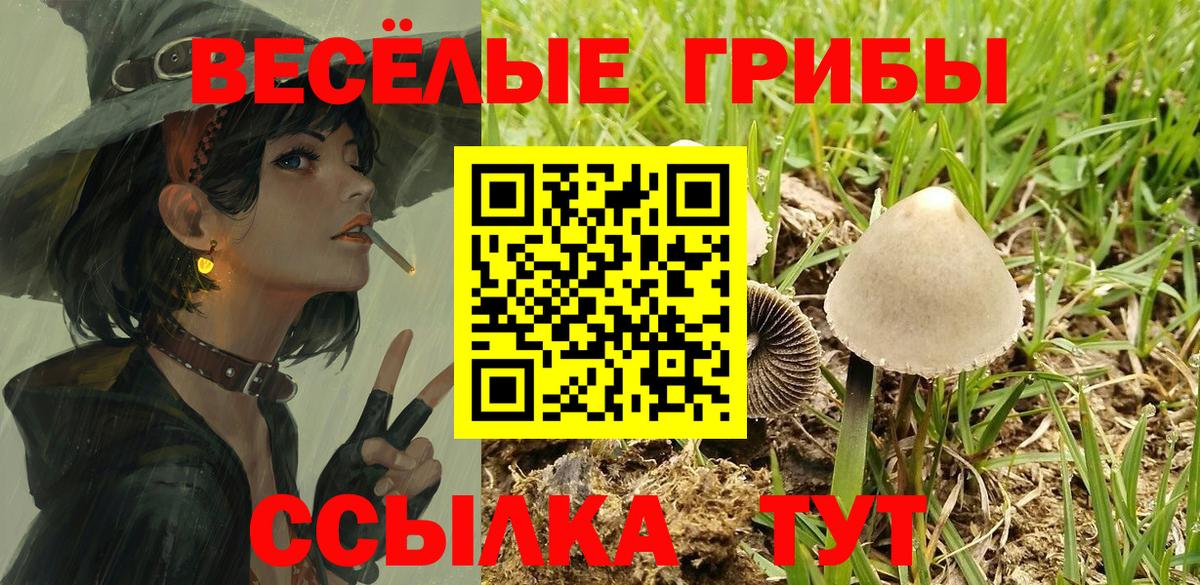 Галлюциногенные грибы GOLDEN TEACHER  Вход с VPN  Мегион 